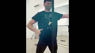 Aerial Pole Class - Dubai circus School by Dream Master