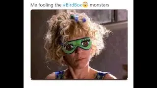 Funniest Bird Box Movie Memes