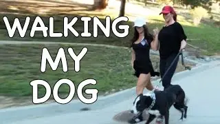 WALKING MY DOG + FITNESS TIPS