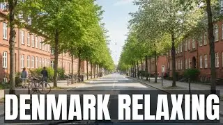 Peaceful Spring Drive in Aalborg, Denmark 🇩🇰 | Relaxing Car Window View & Slow Travel