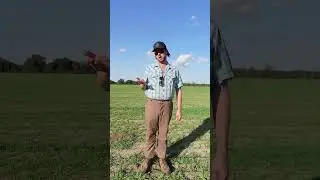 What&rsquo;s All This Green Stuff?
