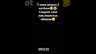 24 мая 2024 г.