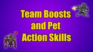 Team Boosts and Pet Action Skills - Borderlands 2 & TPS