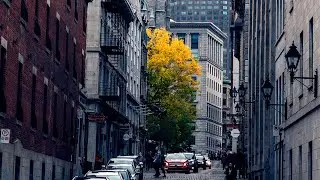 TRAVEL PHOTOGRAPHY In MONTREAL: Autumn Downtown Is Beautiful!