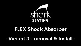 FLEX Shock Absorber - Removal + Install