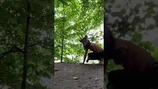 I ￼ I called a deer on camera!!!🐾🐾🦌#quadrobics #therian #gear #quads #animal #public #furry