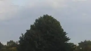 winnemac park