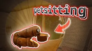 Petsitting - Indie Horror Game - Walkthrough (No Commentary)