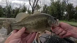 First time catching a bass off of a frog!!