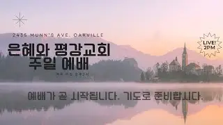 Grace and Peace Church Live Stream