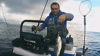 Pesca à chumbadinha. Dourada e Bica e muita galhofa🤣