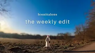 Weekly Vlog: Travel planning, knitting & nature walks | slow living in Germany