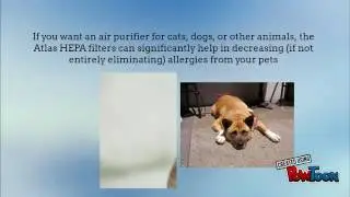 The Atlas Store Atlas HEPA Filter Air Purifier  