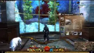 Guild Wars 2 Ranger Pet management