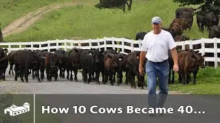 How 10 Cows Became 40 Cows - GFP S1:E3