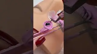 Volume lash extensions individual lash vendor wholesale lash vendor #lashextensions #lash #lashify