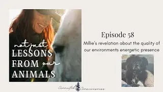 (not just) Lessons from our Animals : Epi. 58 - Millie&rsquo;s revelation about the quality...