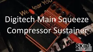 Педаль Digitech Main Squeeze Compressor Sustainer | SKIFMUSIC.RU