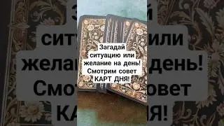 метафорические карты!Совет на день!#subscribe#magic#respect#shorts