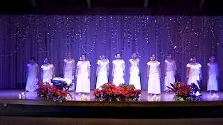 O Holy Night Hula