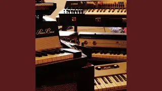 EDM Indie Fox Trot