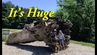 Stumped in Iowa on our 30-Year Anniversary Tuck Camping Adventure