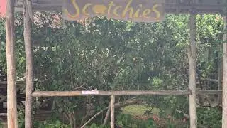 Scotchies Restaurant
