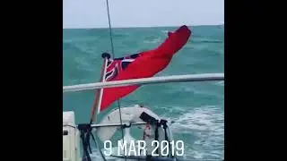 UK sailing bringing bluefin home