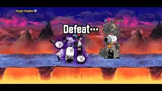 The battle dogs 12.6 all crazy cats😺