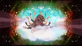 The Walking Who - With Roses [OFFICIAL VIDEO]