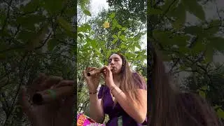 Just fluting around