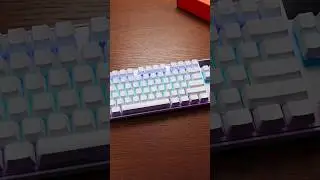 SteelSeries Apex Pro TKL Mechanical Gaming Keyboard
