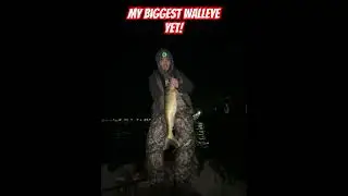 7lb walleye caught at the river (PB)