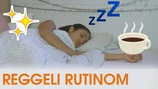 REGGELI RUTINOM (2017 - Nyár)  | Plaura
