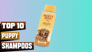 Best Puppy Shampoos in 2026 (Top 10 Picks)