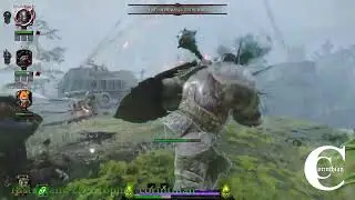 Why is Rot-Shield fearing Sister of Thorn??