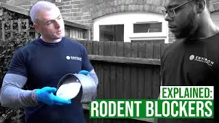 How does a Rat/Rodent Blocker Work? Rat and Rodent Blockers EXPLAINED | Environ Property Services