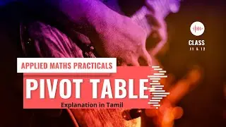 Pivot Table || Applied Maths Practicals || Class 12 CBSE || Explanation in Tamil