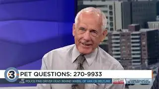 Veterinarian answers viewers' pet questions