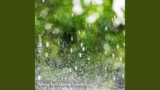 Jarring Rain Pouring Sounds, Pt. 13
