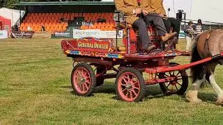 Carriage Drive in Aylsham show 2024 trade class Albat Smith winning the trade class
