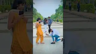 Animal move new song 🥰 4k STATUS 🥺 #trending #lovestatus #love #tiktok #viral