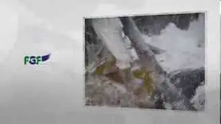 PGF Aspirazione materiali polverulenti