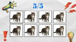 Say The Word On Beat Challenge #3 | High Quality | 1-3 LEVEL | Cat Version