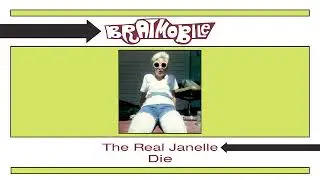 Bratmobile - Die (Artwork Video)