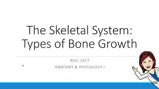 Chapter 6 - Types of Bone Growth