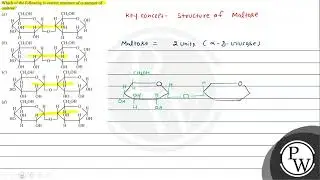 Which of the following is correct structure of \( \alpha \)-anomer of maltose? (a) (b) (c) (d)