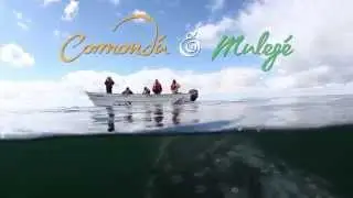 Comond&uacute; y Muleg&eacute;, Turismo de Aventura (Baja California Sur, M&eacute;xico)