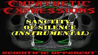 27 Sanctity of Silence (instrumental) - Empathetic Expressions