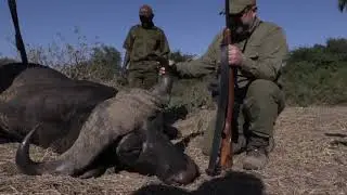 Desfountain Safaris 2019 Promo